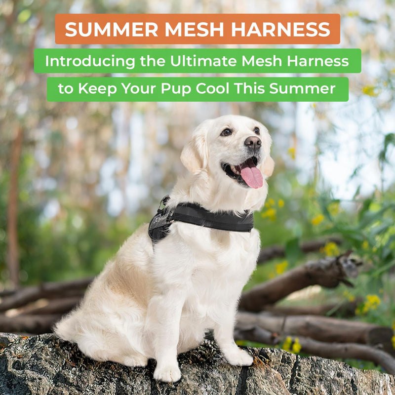 Joyride Harness Summer Mesh Vest – 2.0 No Pull Dog Harness - Adjustable, Breathable Vest - Custom Name Tag Included - Perfect for Small, Medium & Large Dogs Black - BeesActive Australia
