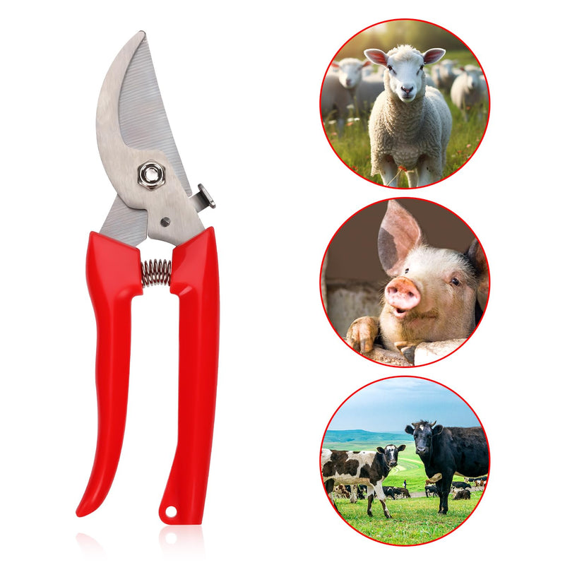 3pcs Goat Hoof Trimmers and File, Nail Clippers for Goats Hoof Nippers Curved/Straight Head Sheep Hoof Trimming Shears Hoof Rasp Horseshoe File for Goat Sheep Lamb Pig Animal Hooves (Red) - BeesActive Australia