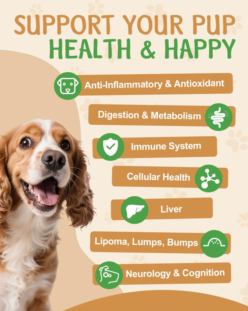 9 in 1 Mushroom Supplement for Dogs - Digestive, Cellular, Immune Health Support, Mushroom Immune Dog Chews Turkey Tail Mushroom for Dogs - Gut, Skin, Joint, Immune Health- Dog Lumps & Bumps