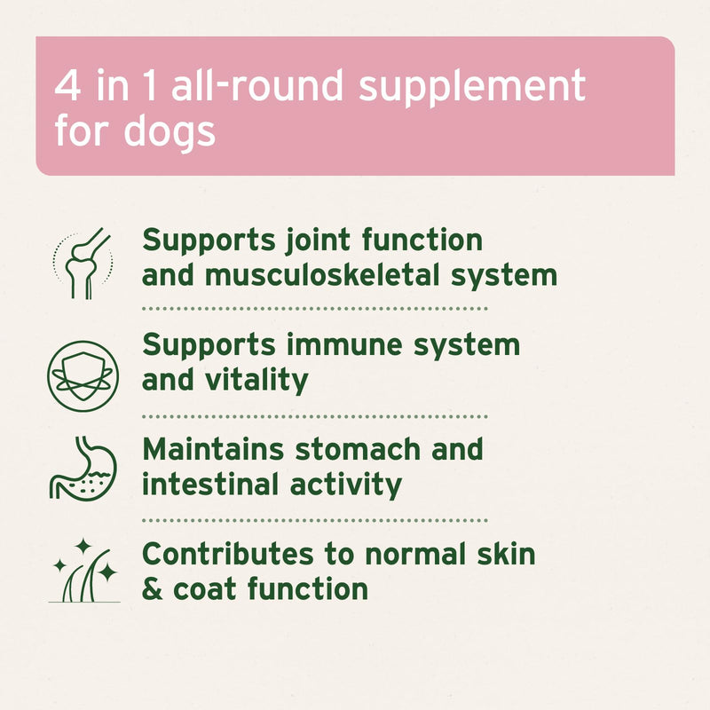 AniForte 4in1 Complete for Dogs 250g - Natural Health Supplement, Supports Joint Care, Digestion, Coat & Skin, With Green-Lipped Mussel & Rosehip, Rich in Vitamins & Minerals