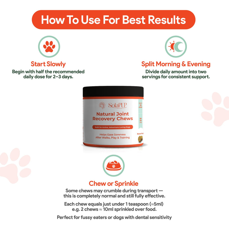 SolaPup® Hip & Joint Chews for Dogs | 120 Soft Mobility & Recovery Chews for Active Dogs | Glucosamine, Chondroitin, Turmeric & Green Lipped Mussel | Bacon Flavor | Made in USA | Gluten & Chicken Free