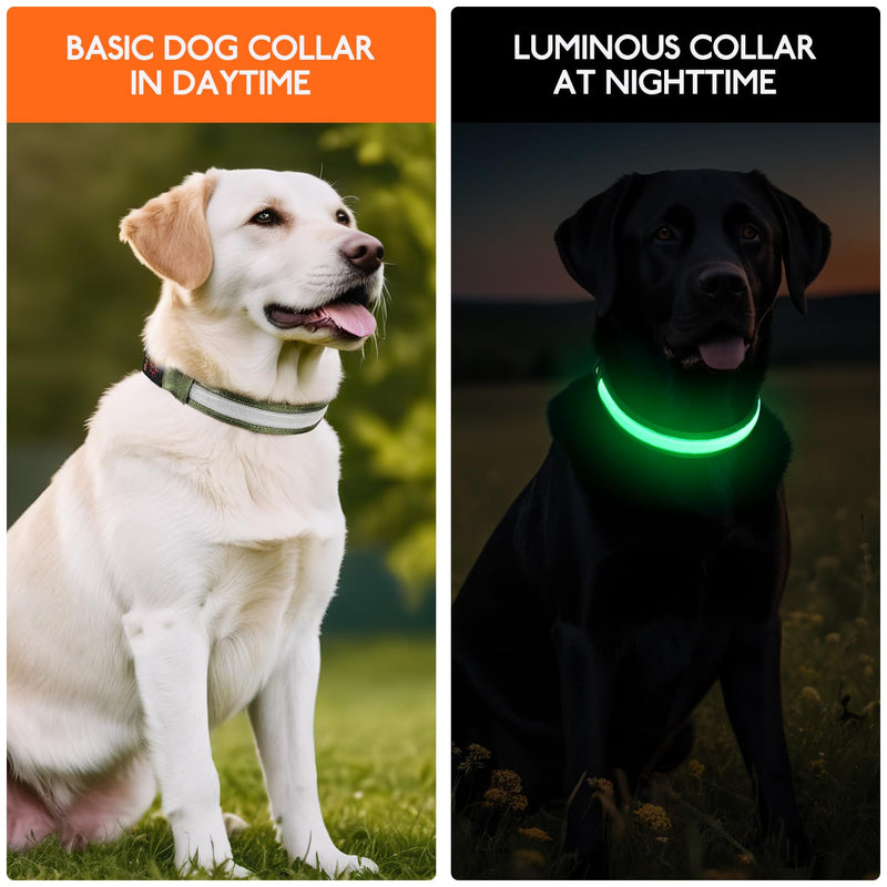 HEELE Luminous Dog Collar, Luminous Collar, Type-C Rechargeable, Luminous Dog Collar, Waterproof, LED Collar for Dogs, Dog Collar with 3 Lighting Modes, Green, M - BeesActive Australia