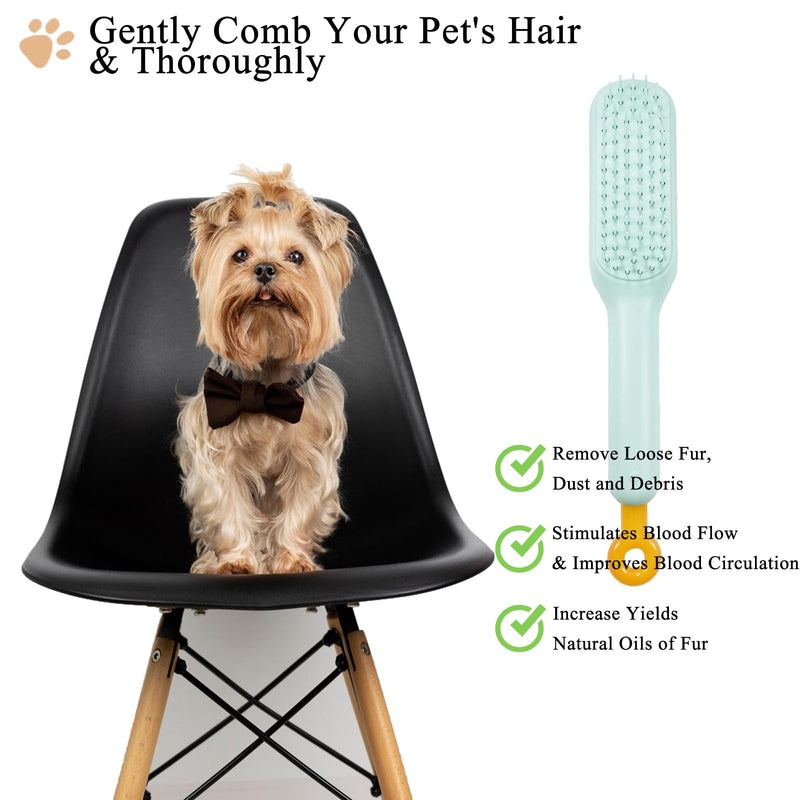 Scalable Small Grooming Dog Brush, Puppy Massaging Hair Brush, for Small Dogs Cats Rabbits of All Hair Types (Blue) Blue - BeesActive Australia