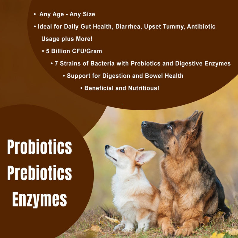 Dogzymes Probiotic Daily Balance - Supplies Nutritional Support and Live microorganisms for intestinal Well-Being as Well as enzymes for Proper Digestion. (8 Ounce) 8 Ounce