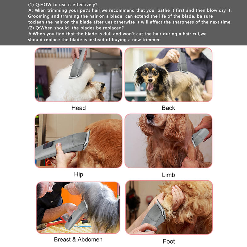 5FC Blade Dog Grooming Clipper Replacement Blades compatible with Andis Dog Clippers,Detachable Ceramic Blade & Stainless Steel Blade,Size-5 FC 1/4-Inch Cut Length (64122) 5fc:1/4''(6.3mm) - BeesActive Australia