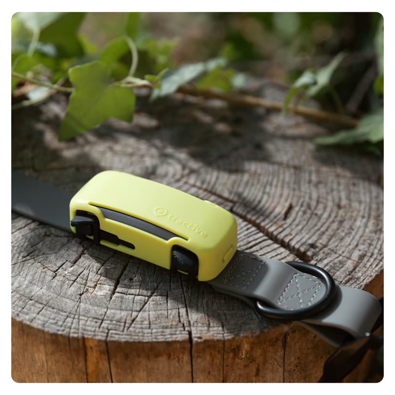 Tractive GPS Dog 6 Tracker Cover - Yellow Yellow - BeesActive Australia