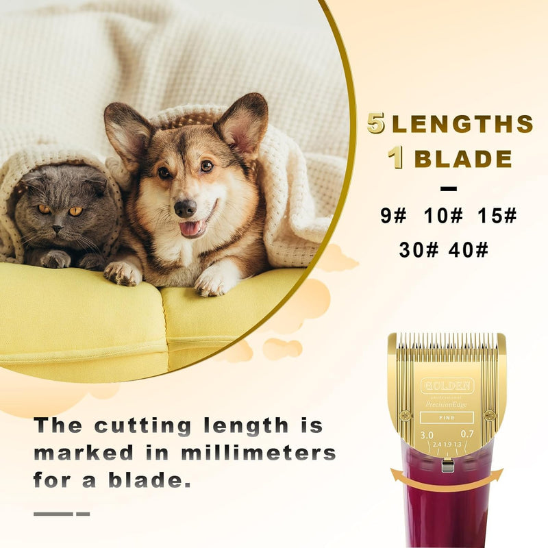Adjustable 5 in 1 Blades Dog Grooming Blades Compatible with Wahl Animal Clipper Arco, Bravura, Chromado, Creativa, Figura, and Motion Pet, Dog, and Horse Gold/3pcs - BeesActive Australia