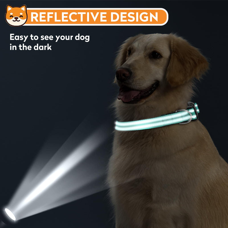 Reflective Dog Collar, Adjustable Soft Neoprene Padded Nylon Pet Collars with Buckle for Medium Dogs, Teal,M - BeesActive Australia