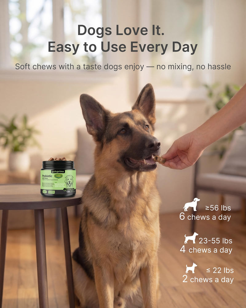 Probiotics for Dogs - Dog Probiotics Digestive Health Support, Dog Probiotic Chews with Spore-Forming Bacillus Coagulans, Prebiotic Inulin & Digestive Enzymes, Chicken Flavor, 120 Soft Chews