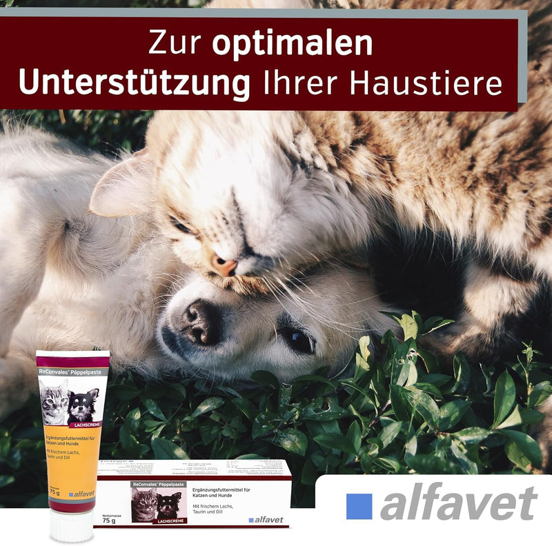 alfavet, ReConvales Päppelpaste, pack of 3, salmon cream, supplementary food for cats and dogs, 3 x 75g tube - BeesActive Australia