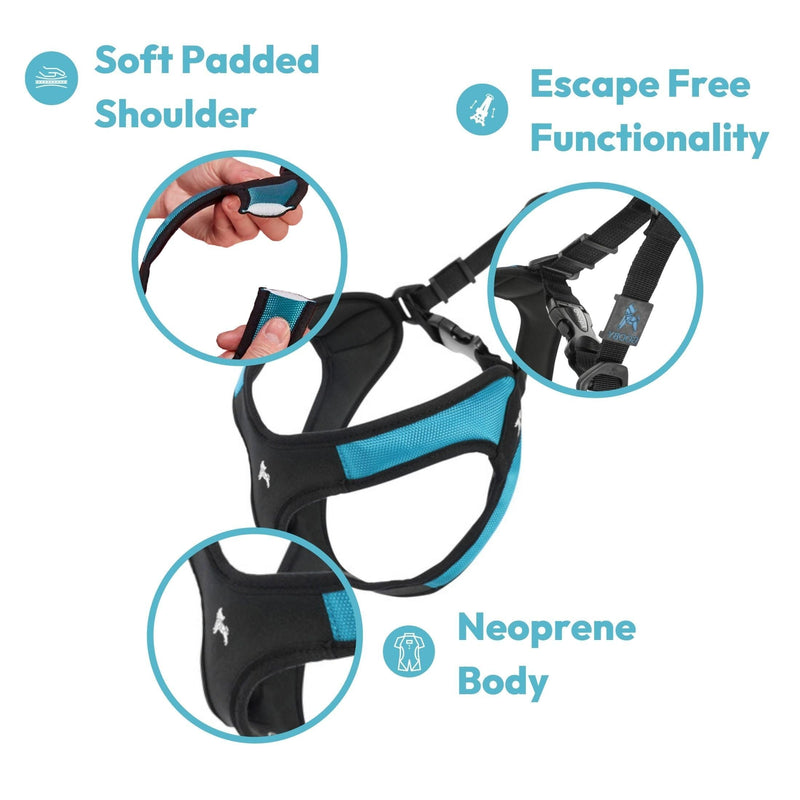 Gooby - Escape Free Easy Fit Harness, Small Dog Step-In Harness for Dogs that Like to Escape Their Harness, Turquoise, Small Small chest (16~19.25") - BeesActive Australia