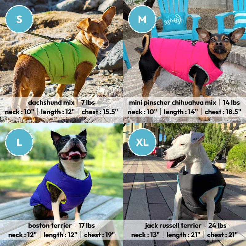 Gooby Padded Vest Dog Jacket - Solid Blue, Medium - Warm Zip Up Dog Vest Fleece Jacket with Dual D Ring Leash - Water Resistant Small Dog Sweater - Dog Clothes for Small Dogs and Medium Dogs Medium Chest (18.25") Blue Solid 1 - BeesActive Australia