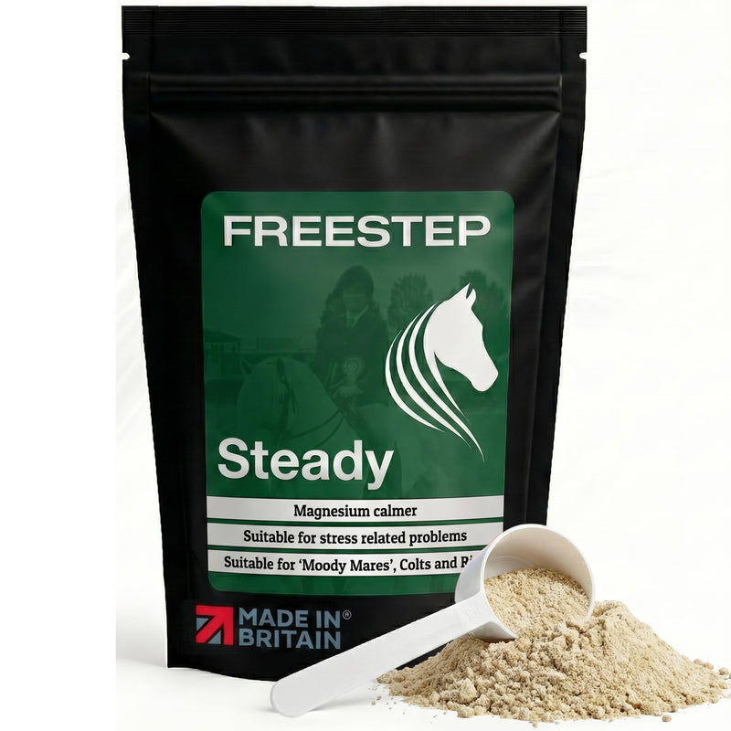 Steady | Daily Horse Calming Supplement | Magnesium, Vitex (Chasteberry) & Chamomile | Non-Sedative, Molasses-Free Magnesium Horse Calmer Powder 500g | 2 Month Supply