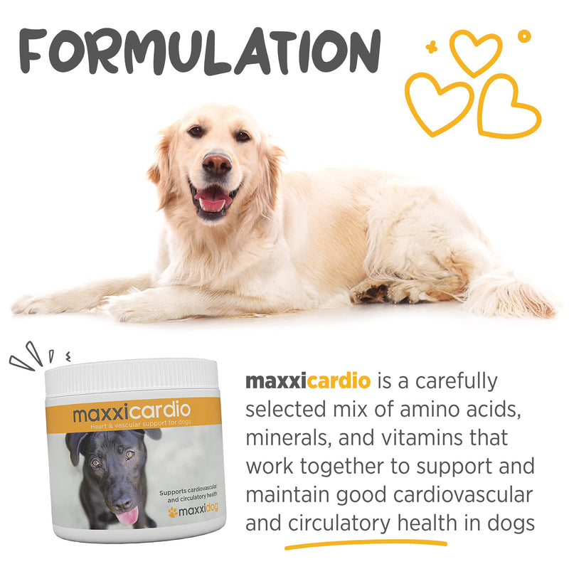 maxxipaws - maxxicardio Heart Support for Dogs (Small Size) – Taurine + L-Carnitine + Hawthorn + Ginkgo – Helps Support Circulation, Energy & Stamina – Easy Mix Powder – Made in USA – 3.2 oz