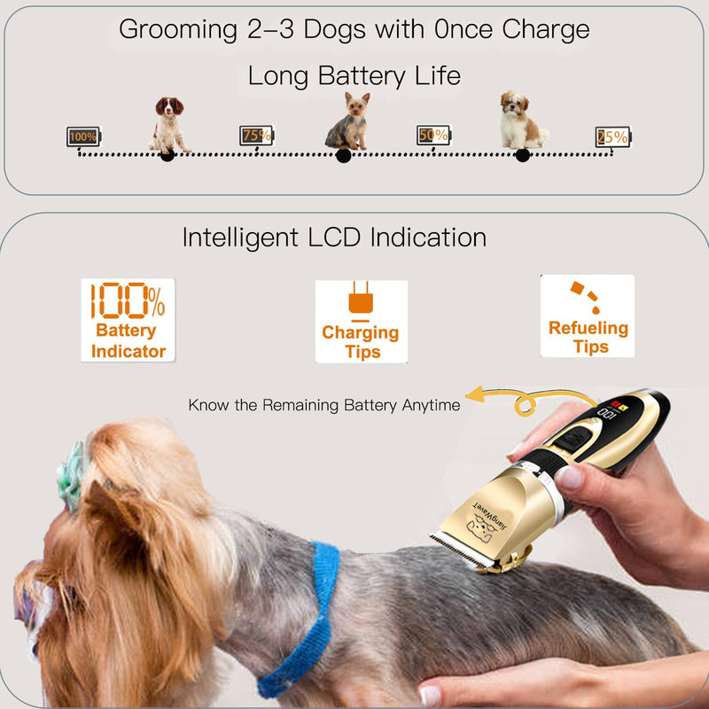 Dogs Hair Trimmer, Dogs Shaver Clippers Grooming Kit - Low Noise Cordless Rechargeable Dog & Cat Horses Clippers, Heavy Duty, Quie Gold - BeesActive Australia