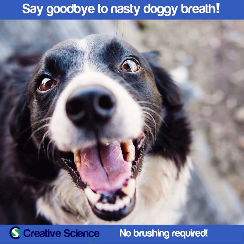 imrex Pet Breath Freshener and Dental Care Water Additive for Dogs and Cats | 500 ml - PawsPlanet Australia