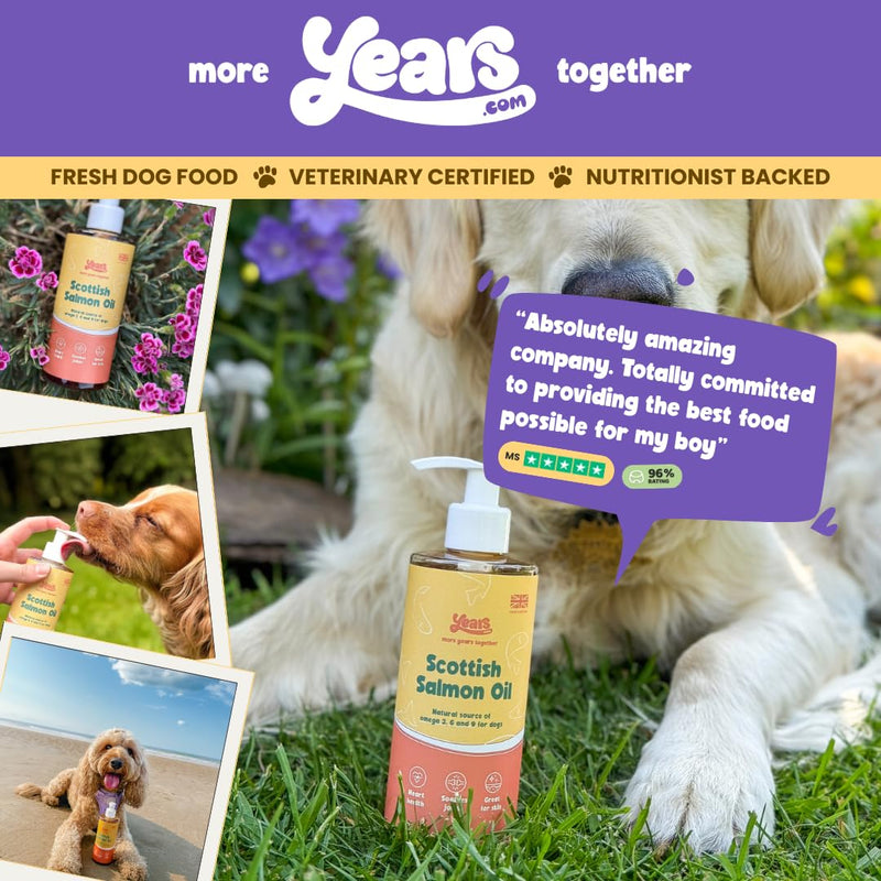 YEARS Salmon Oil for Dogs | Soothes Itchy Skin, Supports Stiff Joints & Promotes a Glossy Coat | Pure Scottish Fish Oil | Omega 3 6 9 | Natural Dog Supplement UK | 250ml 1 x Salmon Oil (250ml)