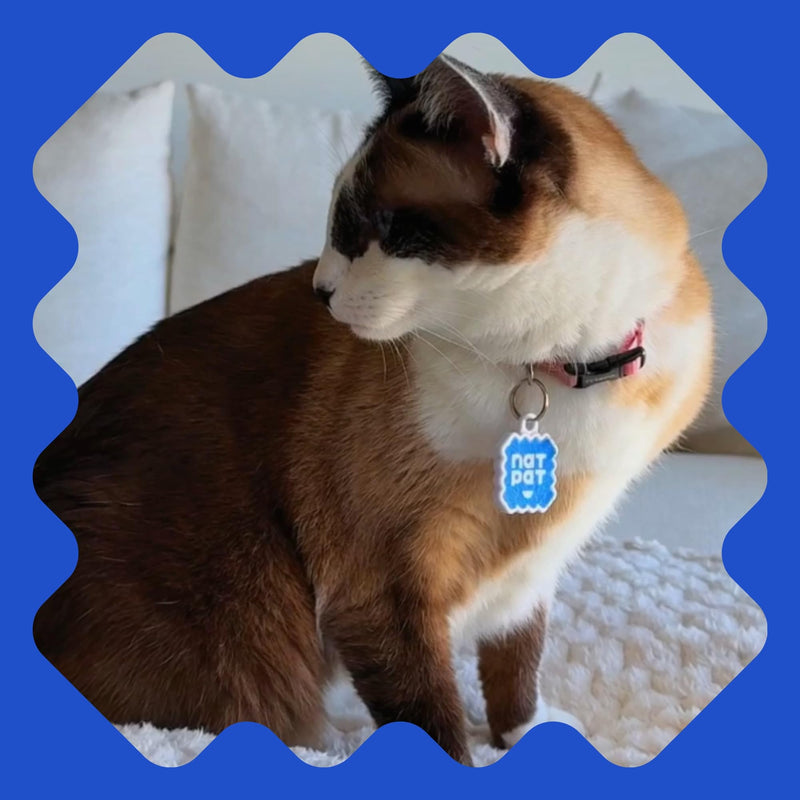 NATPAT Zen Patch Calming Stickers for Cats – Natural Aromatherapy Anxiety Relief for Cats, Non-Toxic Peel-and-Stick Patches with Lavender, Orange & Vanilla Oils - 24 Pack