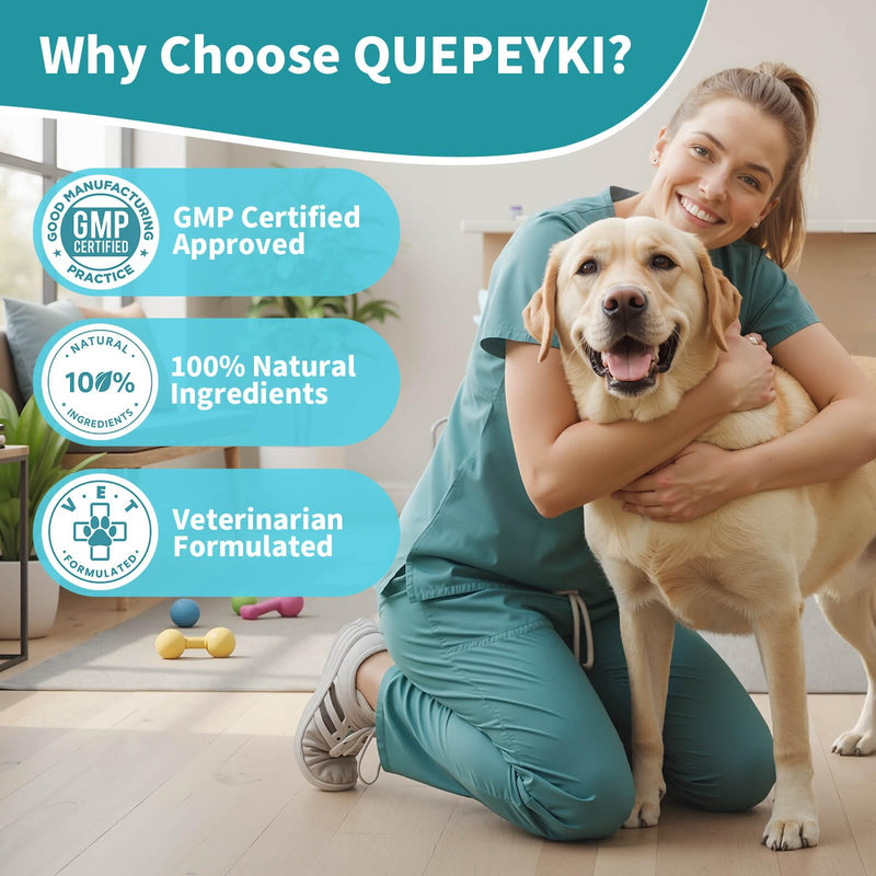 8-in-1 Dog Hip and Joint Supplement - Glucosamine Chondroitin MSM for Dogs with Green Lipped Mussel & Eggshell Membrane - Advanced Mobility Soft Chews for Active & Senior Dogs - 90 Count