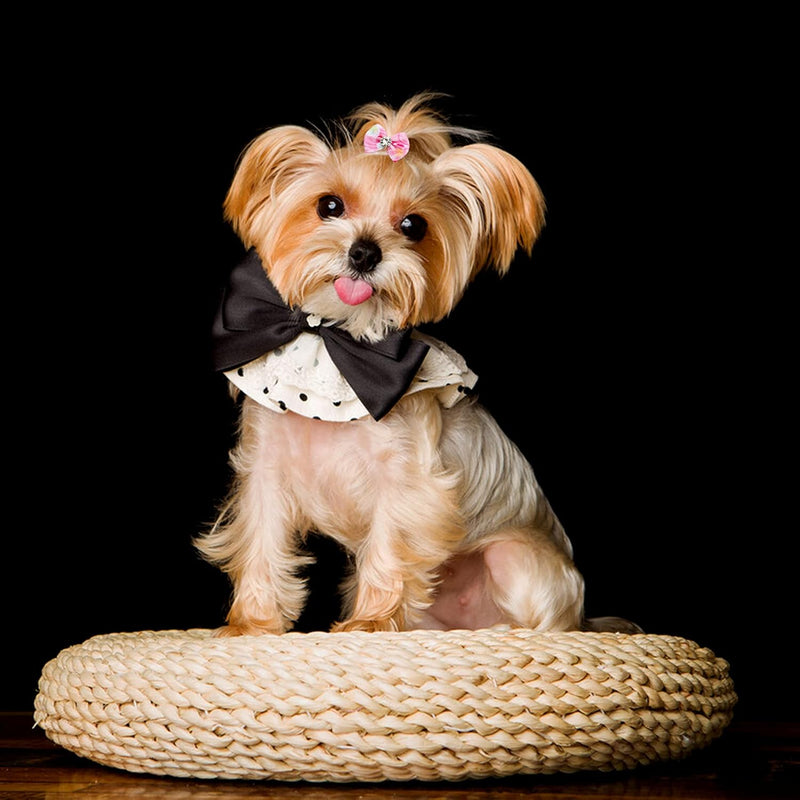 30PCS/15PAIRS Valentine's Day Dog Hair Bows with Rubber Bands Bowknot Top Knot Elastic Pink Red for Doggy Puppy Poodle Grooming Accessories Valentine's Day 30PCS - BeesActive Australia