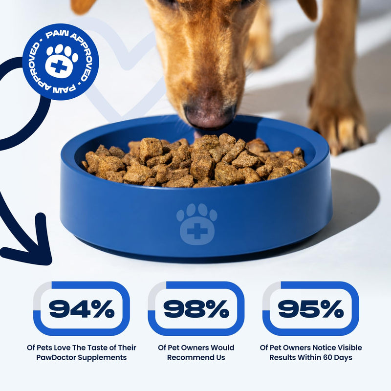 Scottish Salmon Oil For Dogs UK & Cats 1L Omega 3 6 9 Pet Supplement Dog Food Topper For Itchy Dog Skin Coat, Heart, Joint Support & Natural & Healthy Coat - Fish Oil For Dogs, Puppy 1000ml