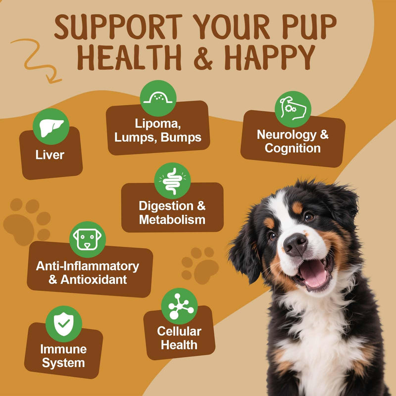 Mushroom for Dogs - Turkey Tail for Dogs - 9 Organic Mushroom Supplement with Turkey Tail, Reishi, Lions Mane - Hip & Joint, Skin & Coat, Digestive, Cellular, Immune Health Support - Chicken Flavor