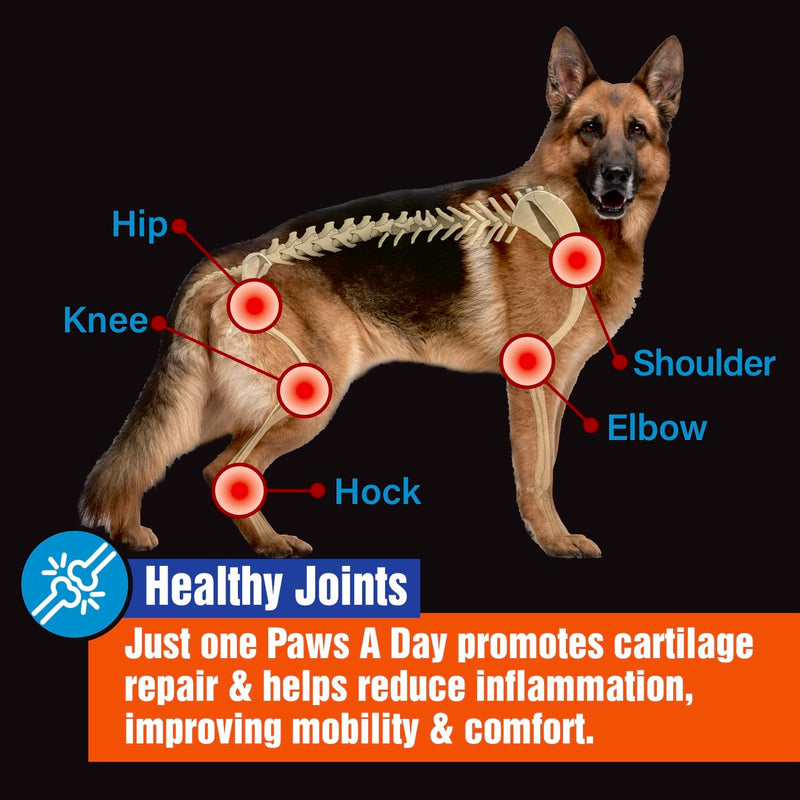 Glucosamine for Dogs Hip & Joint Supplement – “Two-in-One Combo” Dog Joint Care and Improved Skin & Coat with Chondroitin, MSM, Omega 3, Collagen & Biotin, 60 Chewable Tablets Pack of 1 - PawsPlanet Australia