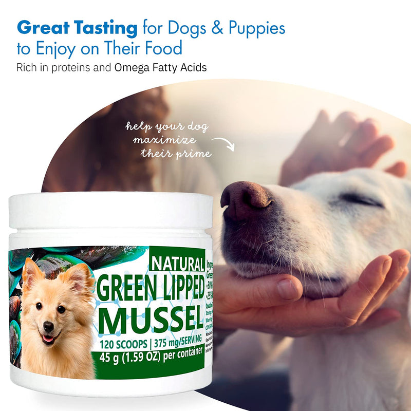Green Lipped Mussel Powder for Dogs, All-Natural Hip & Joint Support Dietary Supplement Formula for Dogs (120 Servings) - PawsPlanet Australia