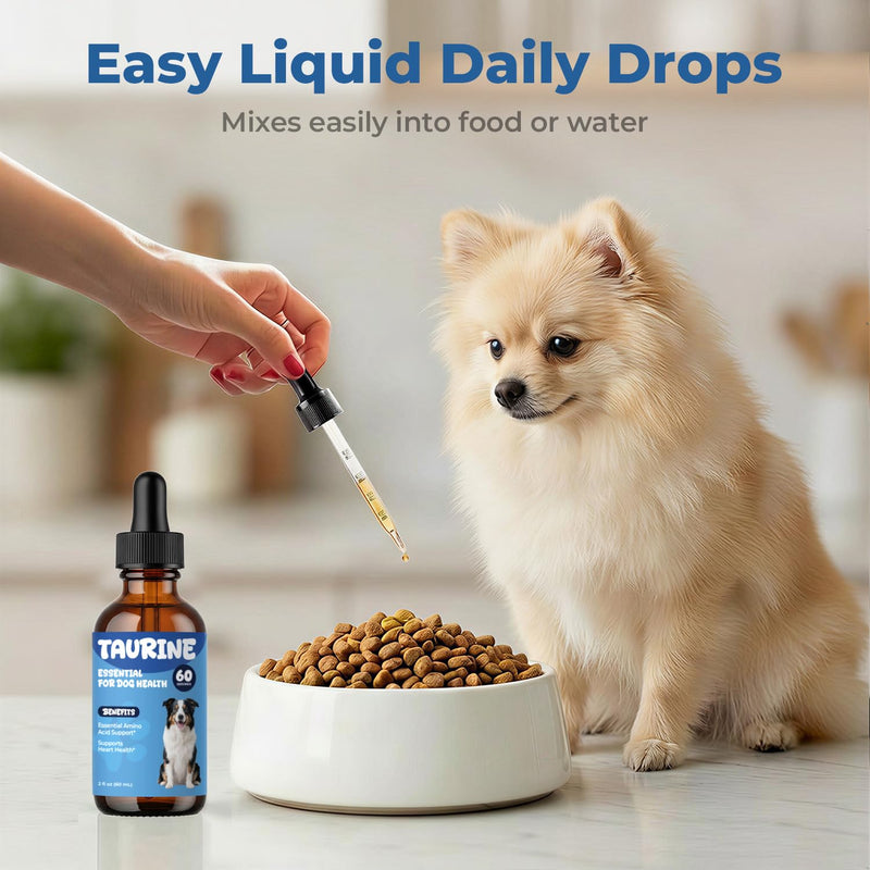 Taurine Supplement for Dogs Drops, Daily Amino Acid Liquid Drops for Heart Function, Muscle Support, Energy Balance & Physical Stability, 60 ml 60 ml (Pack of 1)