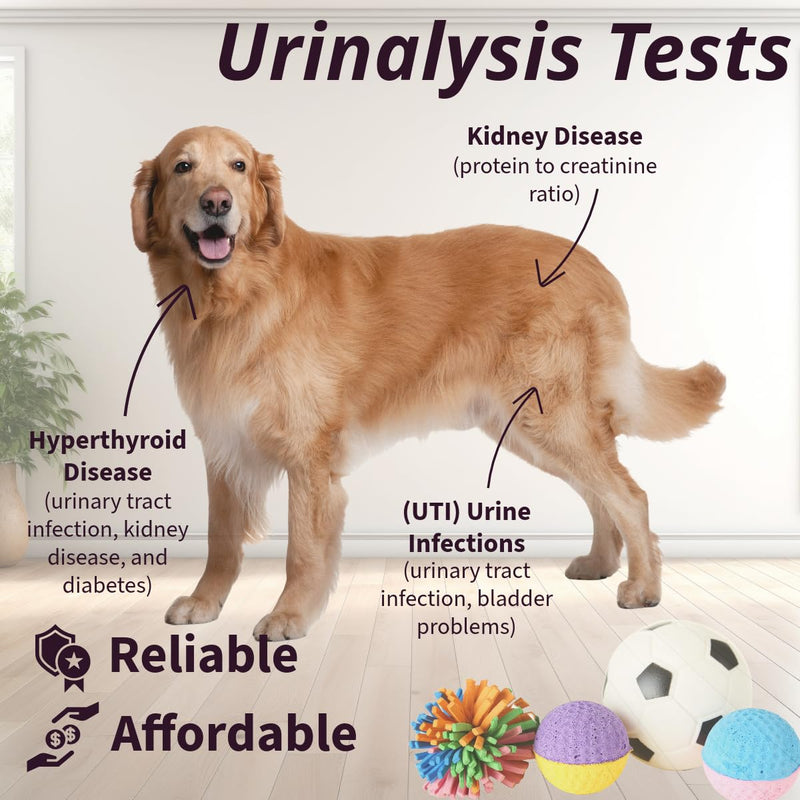 One Step Pet Urine Testing Strips, 50 x Urinalysis Parameter Tests for Dogs, Cats, Vets, Accurate Testing for Veterinarians, Detects UTI, Diabetes, Bladder, Kidney, Liver, SG, pH, Glucose