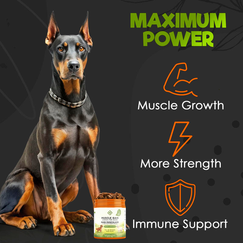 ZENO 11-in-1 Muscle Gain Chews - Weight Gain Supplements for Dogs with High Protein & Amino Acids - Premium Muscle Builder for Bully & All Breeds - Healthy for Puppies - 150 Chews - Duck