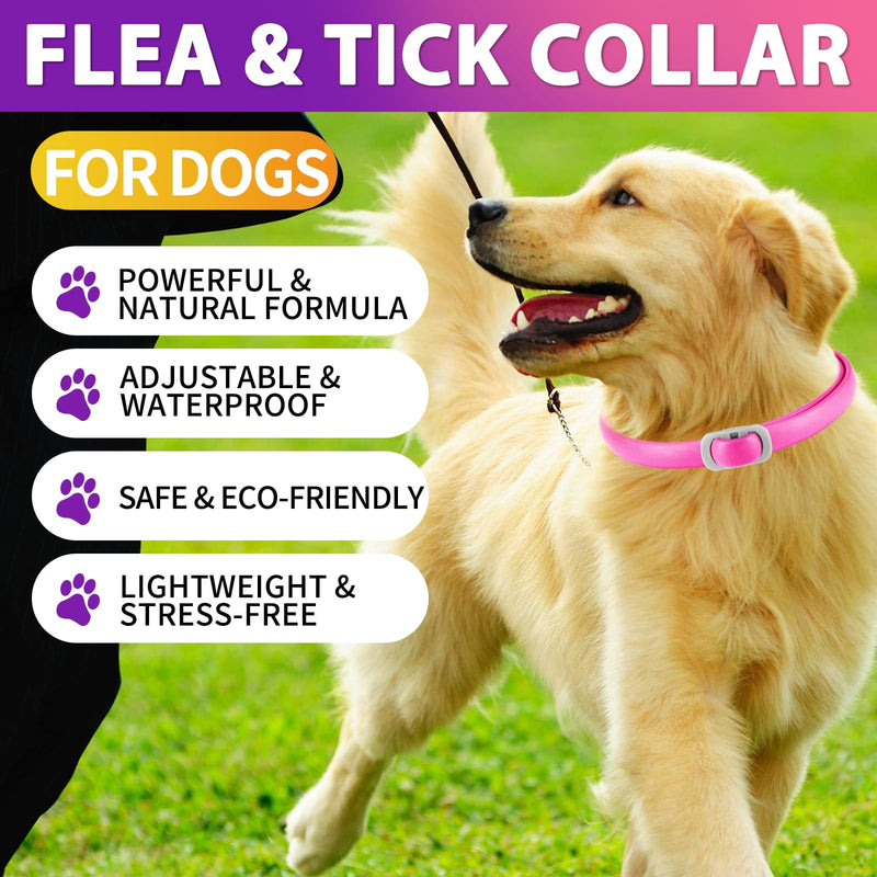Tick Collar for Dogs Pack of 4, Flea Collar for Dogs, Adjustable and Waterproof, Safe and Natural, 60 cm Length, 24 Months Protection, for Small, Medium and Large Dogs (Pink & Purple) - BeesActive Australia