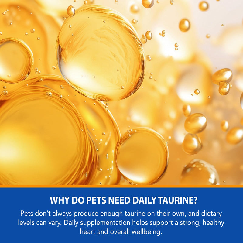 Taurine for Cats – 200g Daily Taurine Supplement for Cats, Cat Taurine Powder - Natural Amino Acid Pet Supplement to Help Muscle Tremors & Nerve Function
