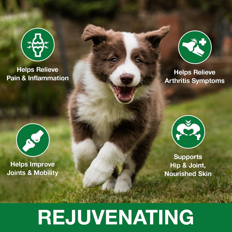 2 Pack Hemp Oil for Dogs and Cats - Anxiety Stress Sleep Allergies Arthritis Seizures Pain Relief - Promotes Skin Hip Joint Health - Calming Drops for Aggressive Pets 1 Fl Oz (Pack of 2)