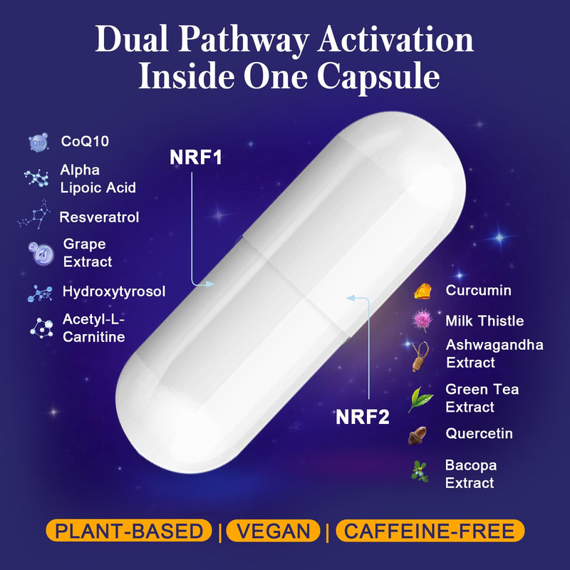 NRF1 & NRF2 Supplement 1500mg | Dual Pathway Antioxidant Formula with CoQ10, Curcumin, Trans-Resveratrol & Ashwagandha | Cellular Energy & Wellness Aging | 60 Capsules 60 Count (Pack of 1)