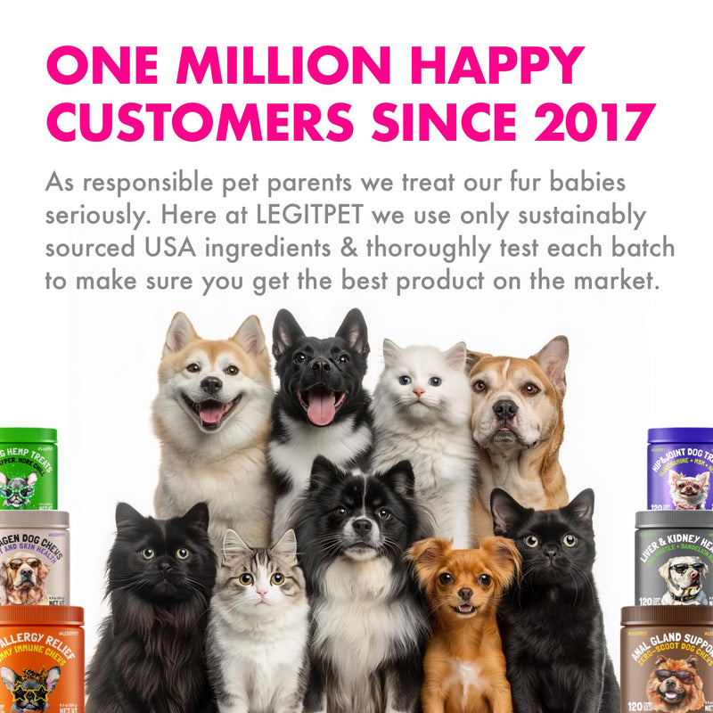 Skin, Coat & Brain Support System for Dogs Wild Alaskan Salmon Oil 32 oz + Omega-3 Soft Chews (120 ct) Complete Daily Omega Routine for Healthy Skin, Shiny Coat & Cognitive Support