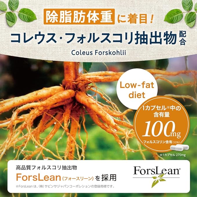 Forskohlii PLUS (30 capsules) Supplement Coleus Forskohlii Terminalia Berylica Salacia Garcinia ROTTS - BeesActive Australia