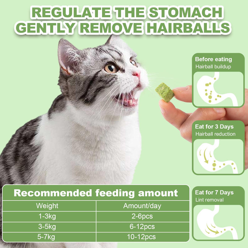 Dylan's cabin Cat Grass Treats Cat Grass Cube - Natural Freeze Dried Cat Grass Teething Dices Edible Cat Chew Toy for Teeth Cleaning and Hairball Removal(80g) Cat Grass Grains (80g) - BeesActive Australia