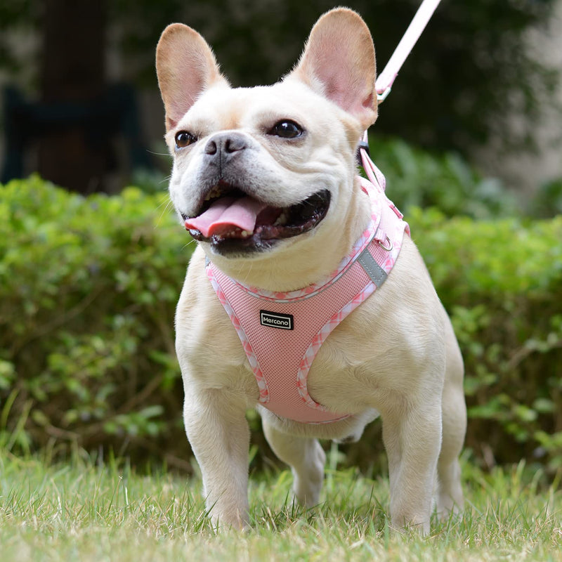 Soft Mesh Dog Harness and Leash Set, No-Chock Step-in Reflective Breathable Lightweight Easy Walk Escape Proof Vest Harnesses with Safety Buckle for Small Medium Dogs, Cats (Pink, S) Pink - BeesActive Australia