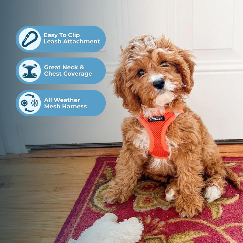 Voyager Step-In Air Dog Harness by Best Pet Supplies - All Weather Mesh Step in Vest Harness for Small and Medium Dogs, Orange, size XS - Chest 33-37 cm Orange (matching hem) XS (Chest: 13 - 14.5") - BeesActive Australia