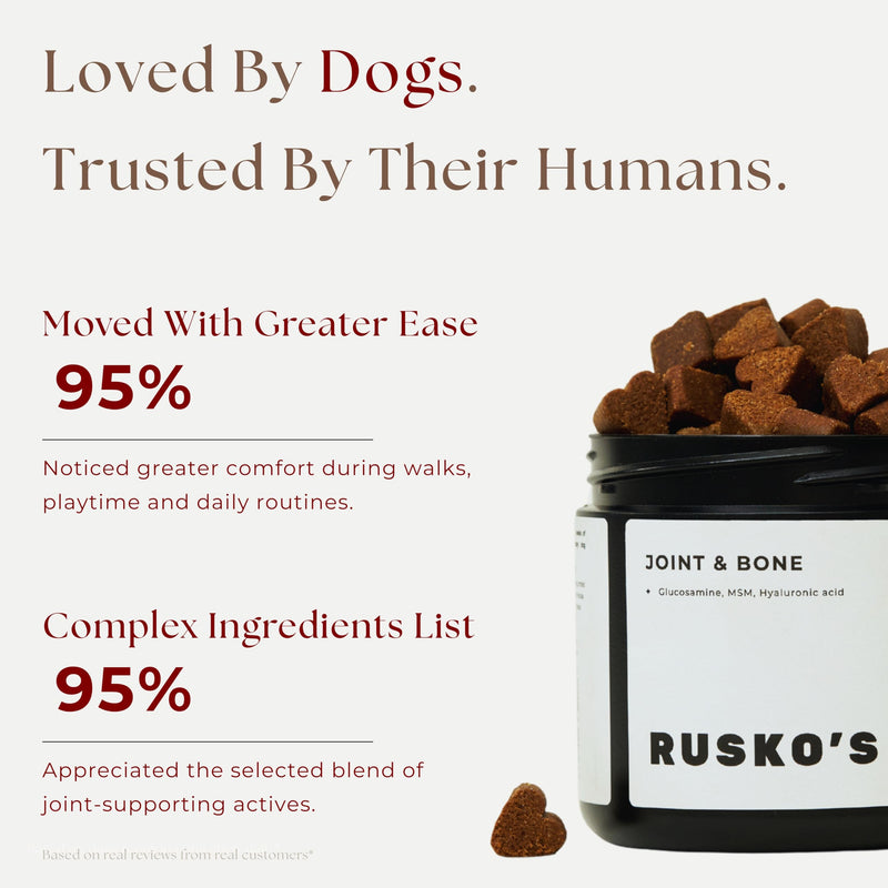 Rusko's Joint & Bone Supplement for Dogs | Supports Mobility, Flexibility & Healthy Joints | Glucosamine, MSM & Hyaluronic Acid | 120 Soft Chews