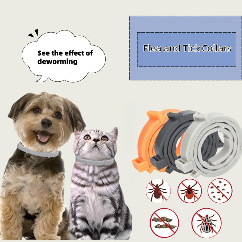 Flea collar for cats, 3 pieces flea collar for dogs, small, tick flea protection collar, tick collar for cats, tick flea collar for cats, flea tick collar for dogs and cats (black + gray + yellow, L) black + gray + yellow - BeesActive Australia