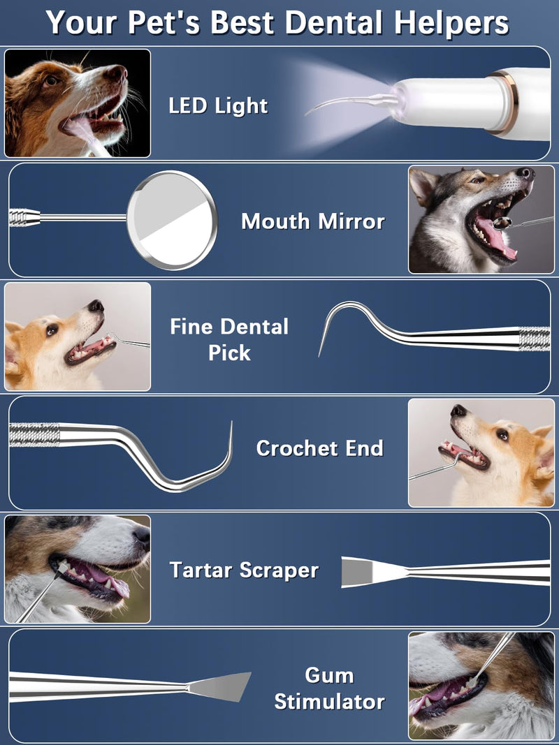 Dog Tartar Remover for Teeth, Electric Plaque Remover for Teeth with LED Light, Dog Teeth Cleaning Kit with 5 Modes and 4 Cleaning Head, Safe for Dog and Cat White - BeesActive Australia