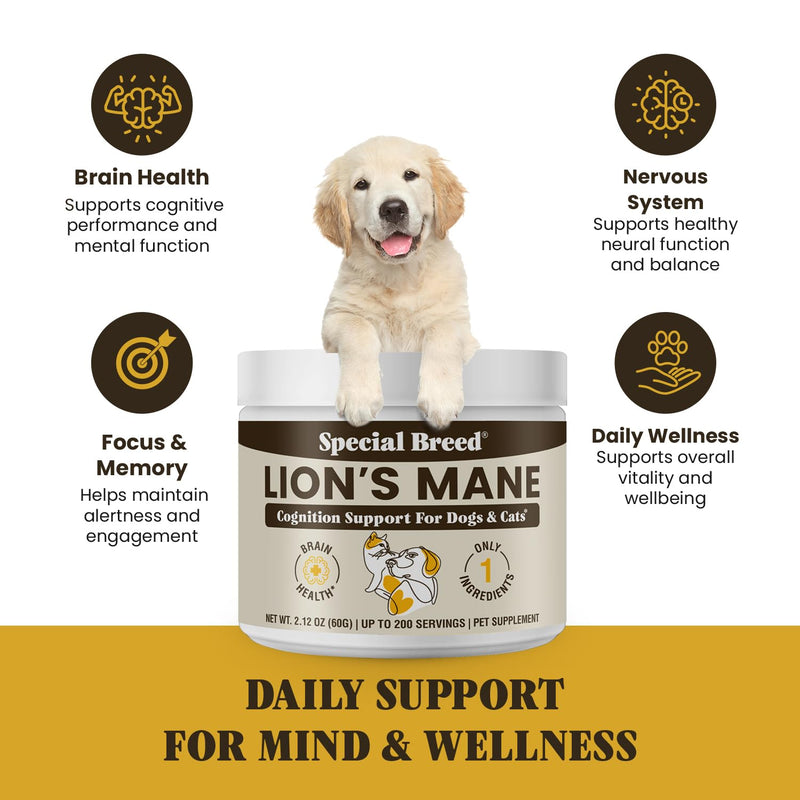 Lion’s Mane for Dogs & Cats - Cognitive & Brain Support Supplement - Supports Memory, Focus & Nervous System Health - Organic Mushroom Powder - 200 Servings