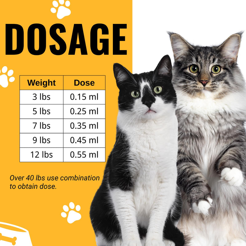 Liquid Cat De-wormer, Say Goodbye to Tapeworms in Cats and Kittens with 1 ml Dropper, Easy-to-Use Liquid Formula, 60ml