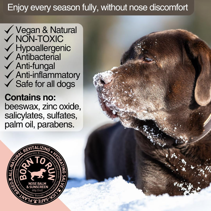 Born To Run Dog Nose Balm | Dry Cracked Chapped Snout Soother | Moisturizes Heals Natural Sunscreen & Cold Winter Protection | Hyperkeratosis Relief Plant-Based Fragrance-Free Lick Safe Nose Cream 2oz - PawsPlanet Australia