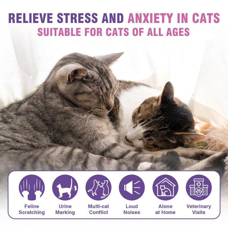 Cat Calming Pheromone Diffuser Refills 4 Pack Anxiety and Stress Calming for Cats Reduce Inappropriate Peeing and Spraying Fragrance Free for Bedroom Bathroom Reduces Conflict in Multi-Cat Households Purple