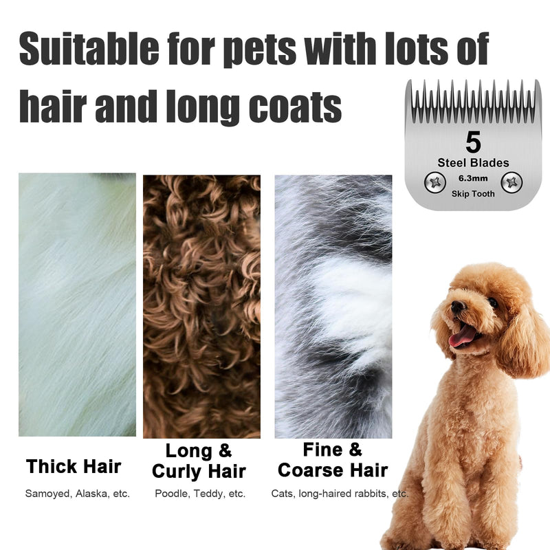 5 Skip Tooth Detachable Pet Dog Grooming Steel Blades,Compatible with Andis,Oster A5,Wahl KM10 Series Clippers,Cut Length 1/4-Inch (6.3mm) ，1 PACK 5 Skip Tooth-1 PCS - BeesActive Australia