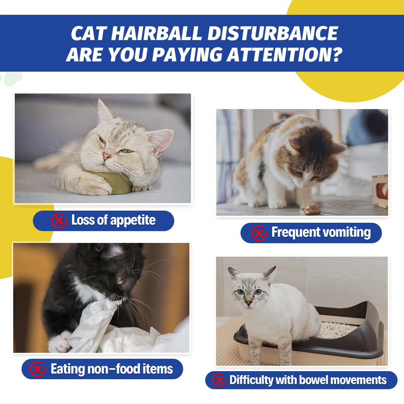 Hairball Treatment for Cats,Easy to Give Syringe Format Cat Hairball Remedy Gel-Digestive Aid and Hairball Relief Beef-Flavored 2.12oz (1 pcs) 1 pcs - BeesActive Australia