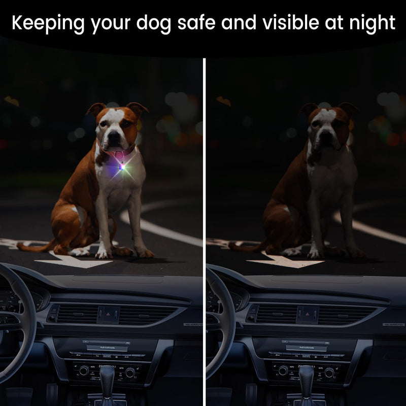 Dog Lights for Night Walking, 2 Pack Dog Light with 4 RGB Color Modes, Rechargeable Dog Collar Light Charm Clip On, Waterproof Safety Walking Light for Camping, Running, Cycling - BeesActive Australia
